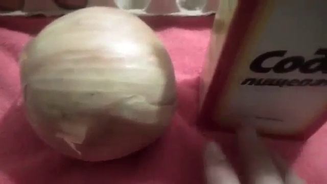 Лук с содой от тараканов. Video by videoshow 3