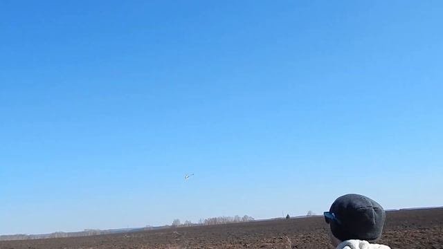 Отличный пилотаж р/у вертолёта