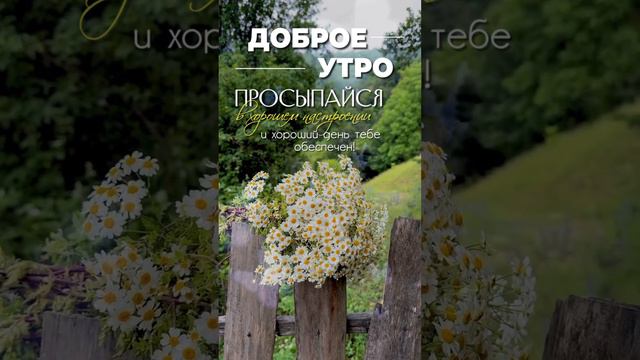 Давайте проживем этот день с любовью к себе, к своему окружению и к Миру в котором мы Гости💕