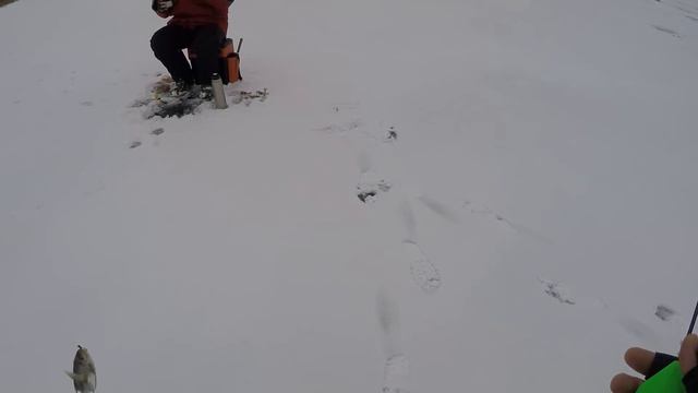 н.п.Кушки второй лёд (отчёт с рыбалки)