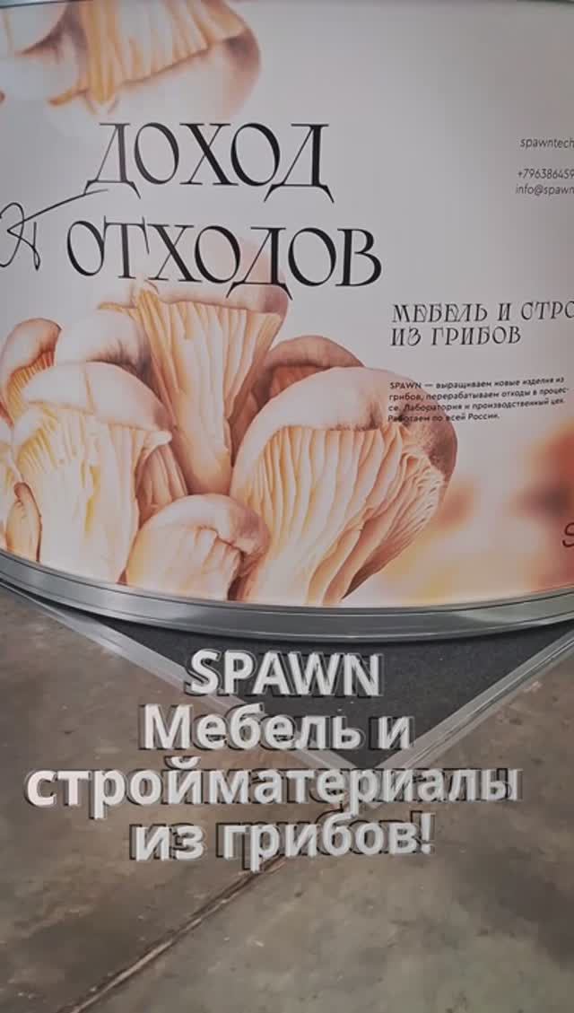 SPAWN мебель и стройматериалы из грибов. ЦветыЭкспо #цветыэкспо #flowersexpo #цветы #flowers #крокус