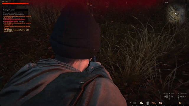 Stalker Online | Обычный игрок | Любеч | Первая охота #10