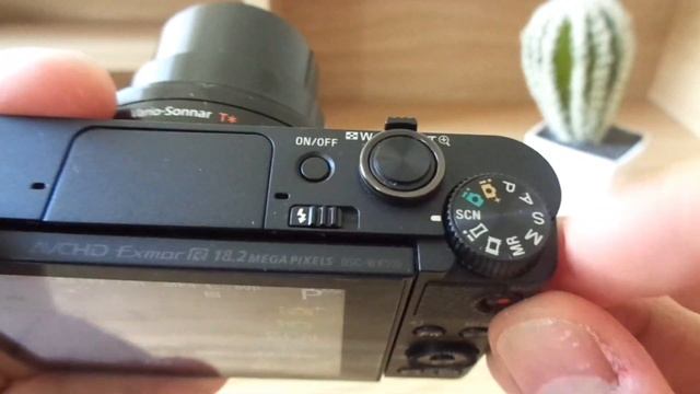 Sony DSC WX500 Tutorial for Beginners