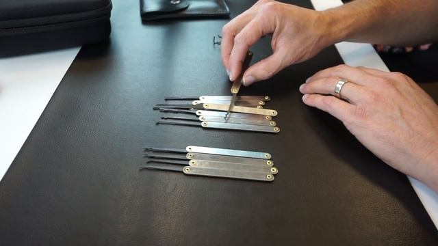 Beginner Lock Pick Set with Clear Practice Locks (22 pieces)