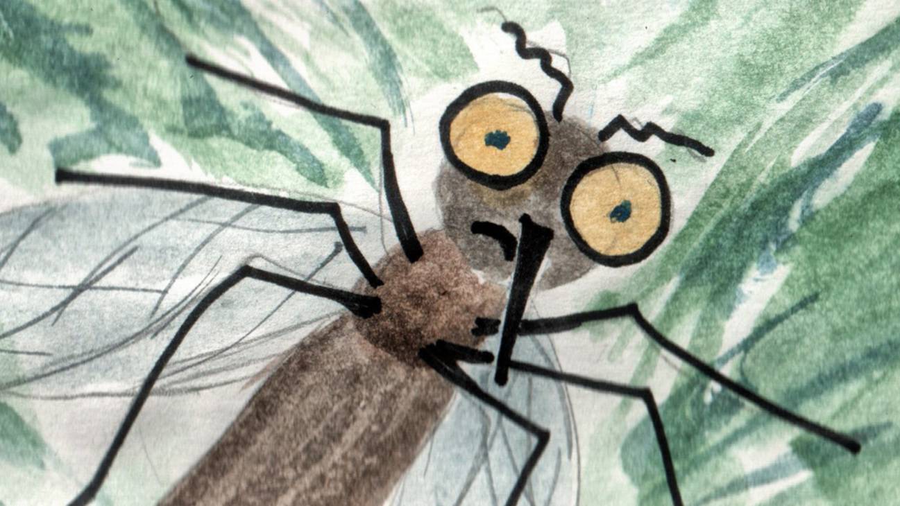 Drolls - Комара муха любила