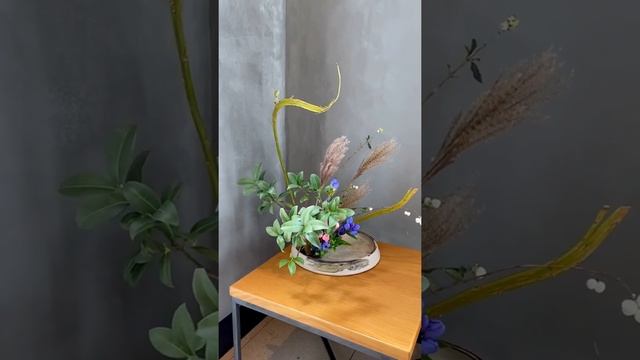 Rising form Ikebana ohararyu - salix senga , mayumi