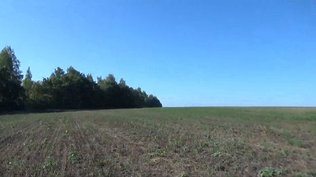 Коп по скошенному полю.Третий выезд