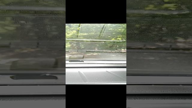 Выезд из Глемпинга Green Wood.под углами в 40⁰