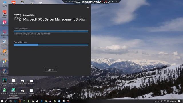 Installation of Microsoft SQL Server management studio