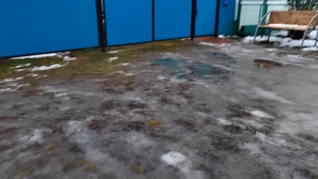 Вот Это Гололёд! И Снова Басня, Учим Уже Со Слезами/13.11.23