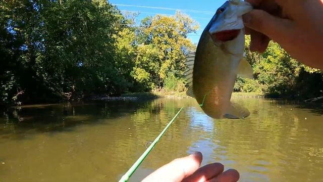 Fall Creek Fishing with a Curly Tail Grub - It Finally Worked!