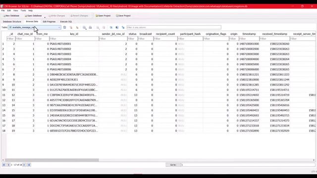 How to export database file into MS excel  CSV File [Subtitle Eng]