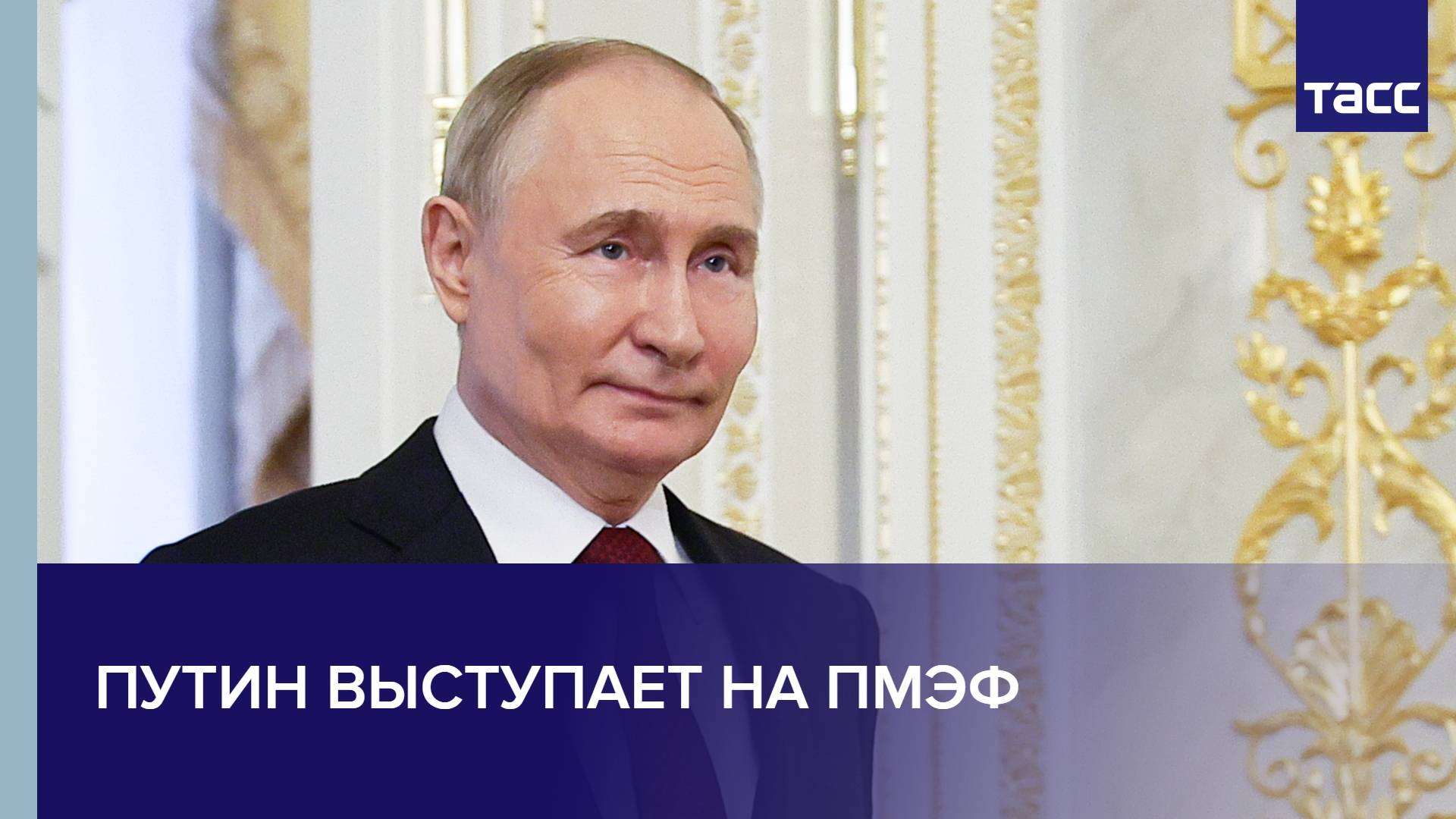 Путин выступает на ПМЭФ
