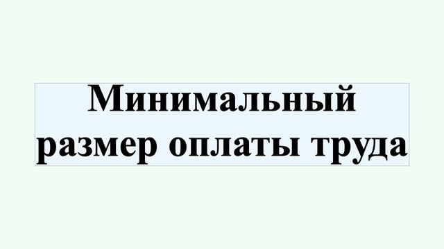 Минимальный размер оплаты труда