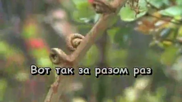 020 Nischtjak bratokM Krug