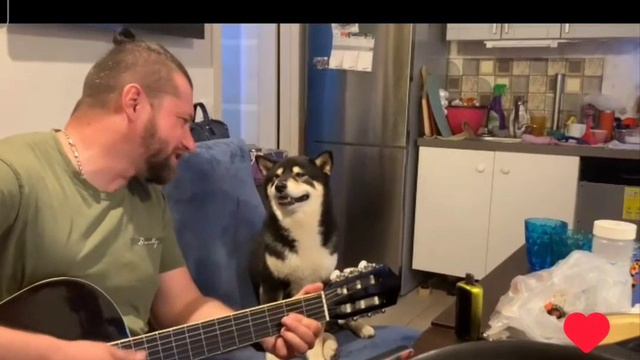 Нуки- меломан.mp4
#поём
#гитара
#собакен
#песни
#музыка