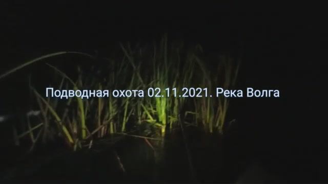 Подводная охота на Волге 02.11.2021