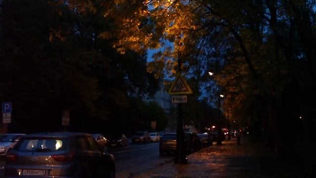 Г. Пушкин Огни ночного города (Санкт-Петербург)