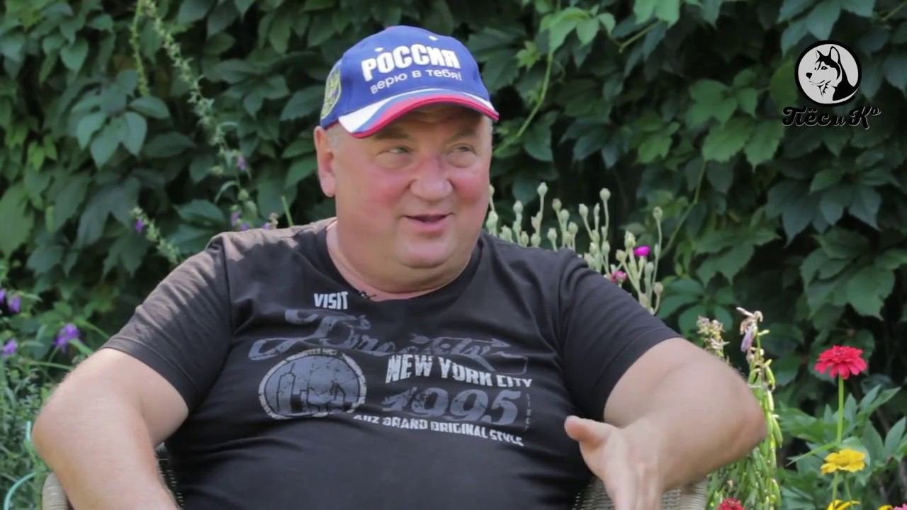 Такая порода. Немецкая овчарка