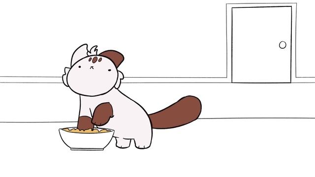normal cat video :)