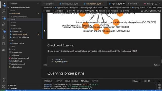 BSR 6806: Lecture 5 - Part 4 - The Cypher Query Language - Erol Evangelista - ISMMS - Spring 2023