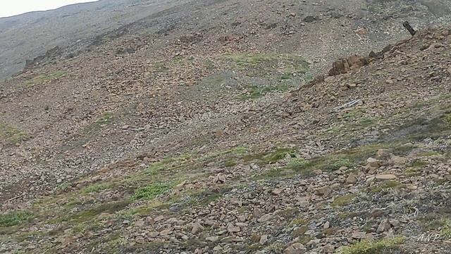 Талнах. Горы.