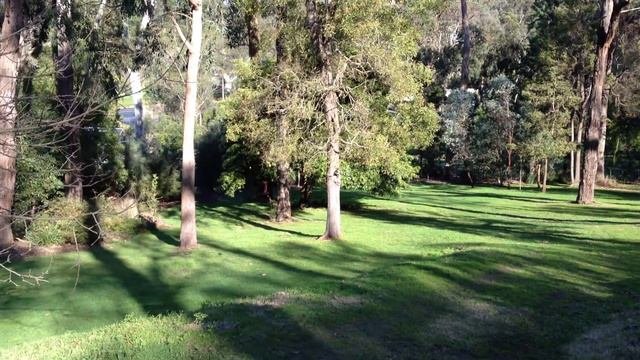 V912 Test Flight In Backyard. Best Mid Size Heli On The Market In This Price Range.