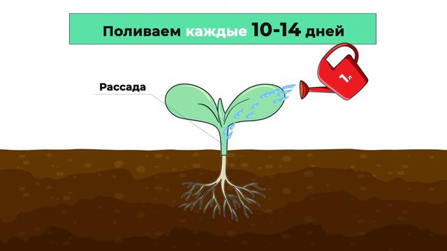 Как правильно применять гуминовый хелатор "Цитогумат" для растениеводства?