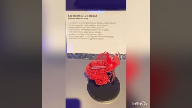Сосуд. гимн- ка с помощью КОНТРАСТА, РАСТИРАНИЯ, ДЫХАНИЯ, ДВИЖЕНИЯ- РЕАБИЛИТАЦИЯ СЕРД- СОСУД СИСТЕМ