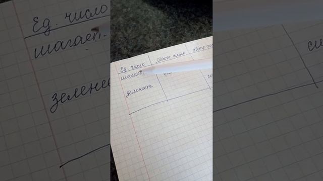 Русский ( 2 )