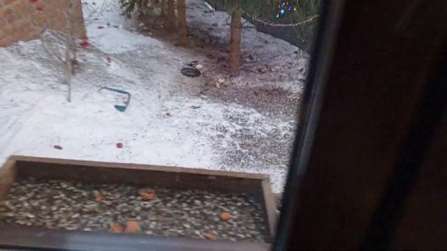 не тарабань,окно разобьёшь.