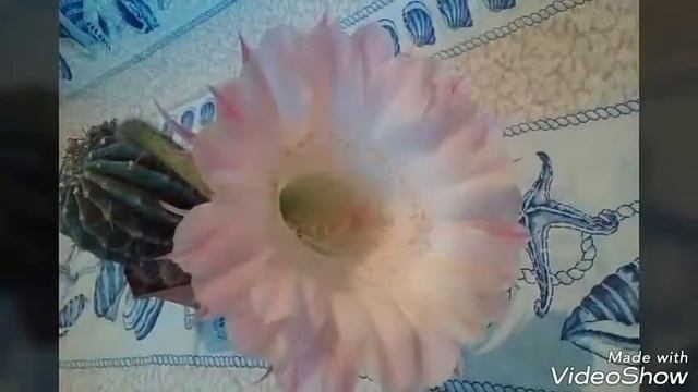Зарисовки город Днепр июль... - Sketches city Dnepr July