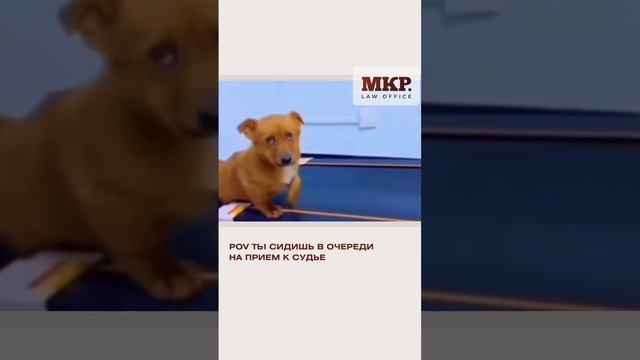 Ознакомление с материалами дела