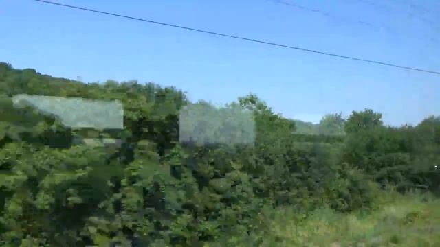 лес села Белгородского района и урочище Шатохин лес
