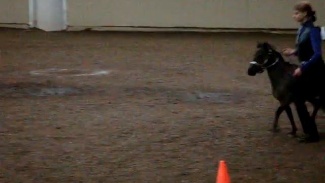 Crimson Showing in Green Hunter Horse--2nd Place