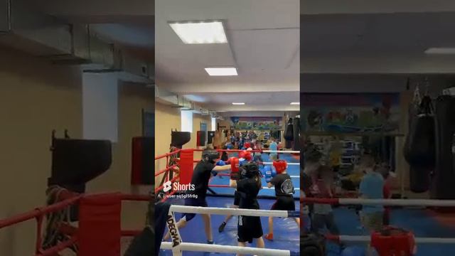 video5411450890773087398.mp4