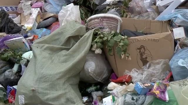 В Симферополе  благоустраивают контейнерные площадки