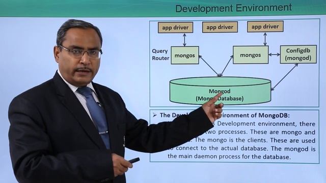 MongoDB Development Environment