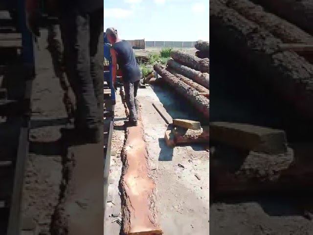 Ленточная пилорама Кедр 91 в работе. Видео от клиента. #ленточнаяпилорама #пилорама #кедр