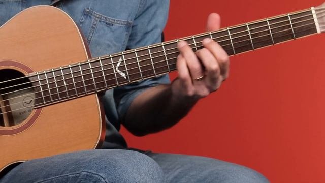 Eko Guitars  EVO A350e Baritone - Chitarra Acustica Baritona