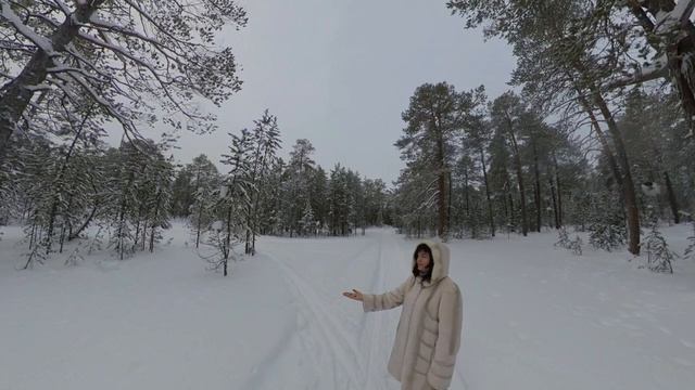 Прогулки по лесу с Insta360 One X