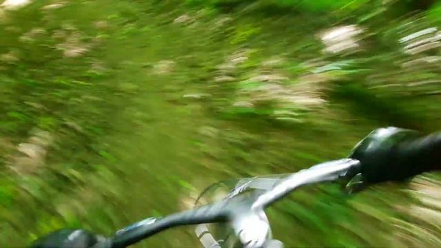 Битцевский парк. Шаолинь.# Trail Shaolin.