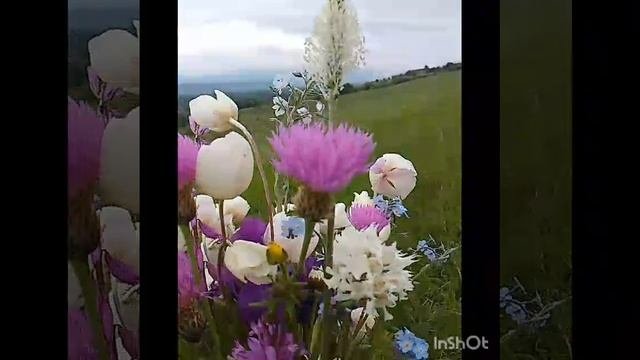 Псебай.Звуки природы