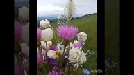 Псебай.Звуки природы