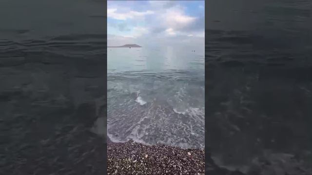 Полет чаек и морской прибой