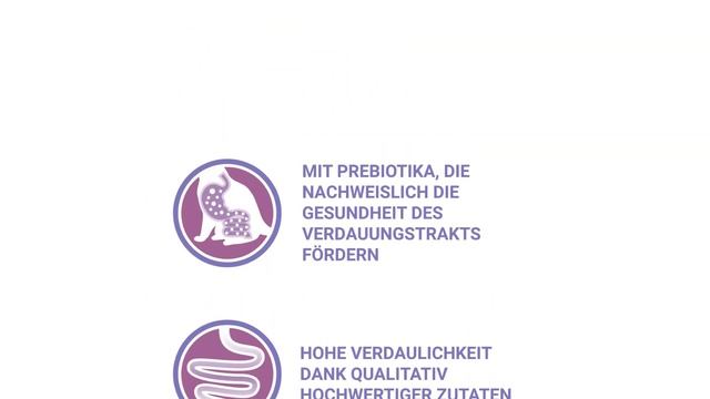 Die 16 besten Katzenfutter