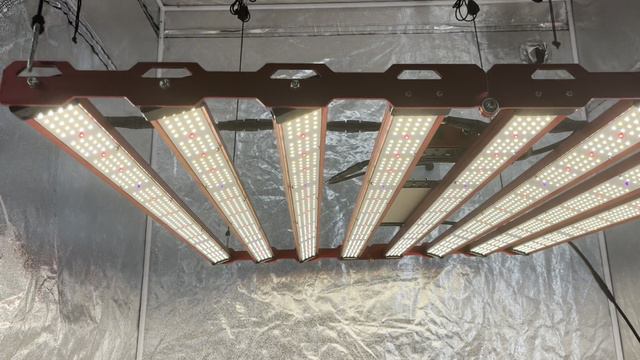Kingbrite G55 800w