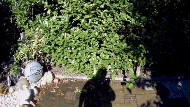 Gitup Git2 (pro) unedited action cam video footage review 1080HD 60fps