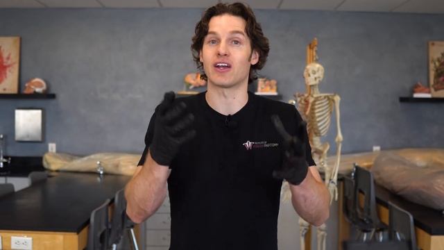 What Happens if You Swallow Gum? | One Truth & One Lie