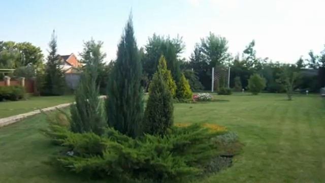 Дизайн ландшафта в Санкт-Петербурге